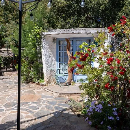 T4 , Jardin Arbore Et Plages A Moins De 5 Min A Pieds Bormes-les-Mimosas